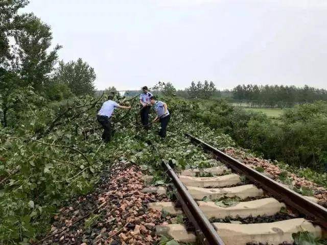 熱心市民成功攔?；疖?chē)，避免鐵路旁緊急事故——馬鞍山線桿傾倒瞬間