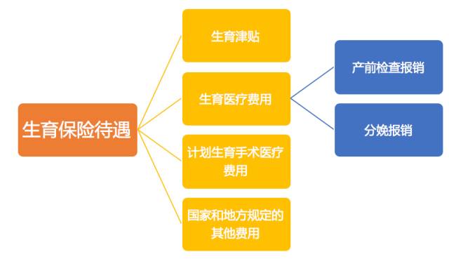 大學(xué)生生育費(fèi)用報(bào)銷指南