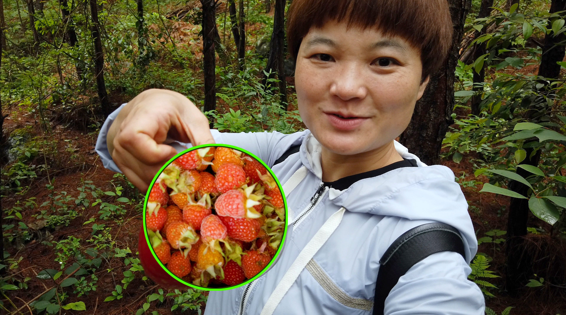 野外美味之旅,，從森林采摘到品嘗的探險(xiǎn)之旅