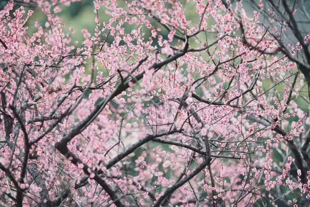 氣候變化挑戰(zhàn)來襲,，冷空氣新動態(tài)與應(yīng)對策略